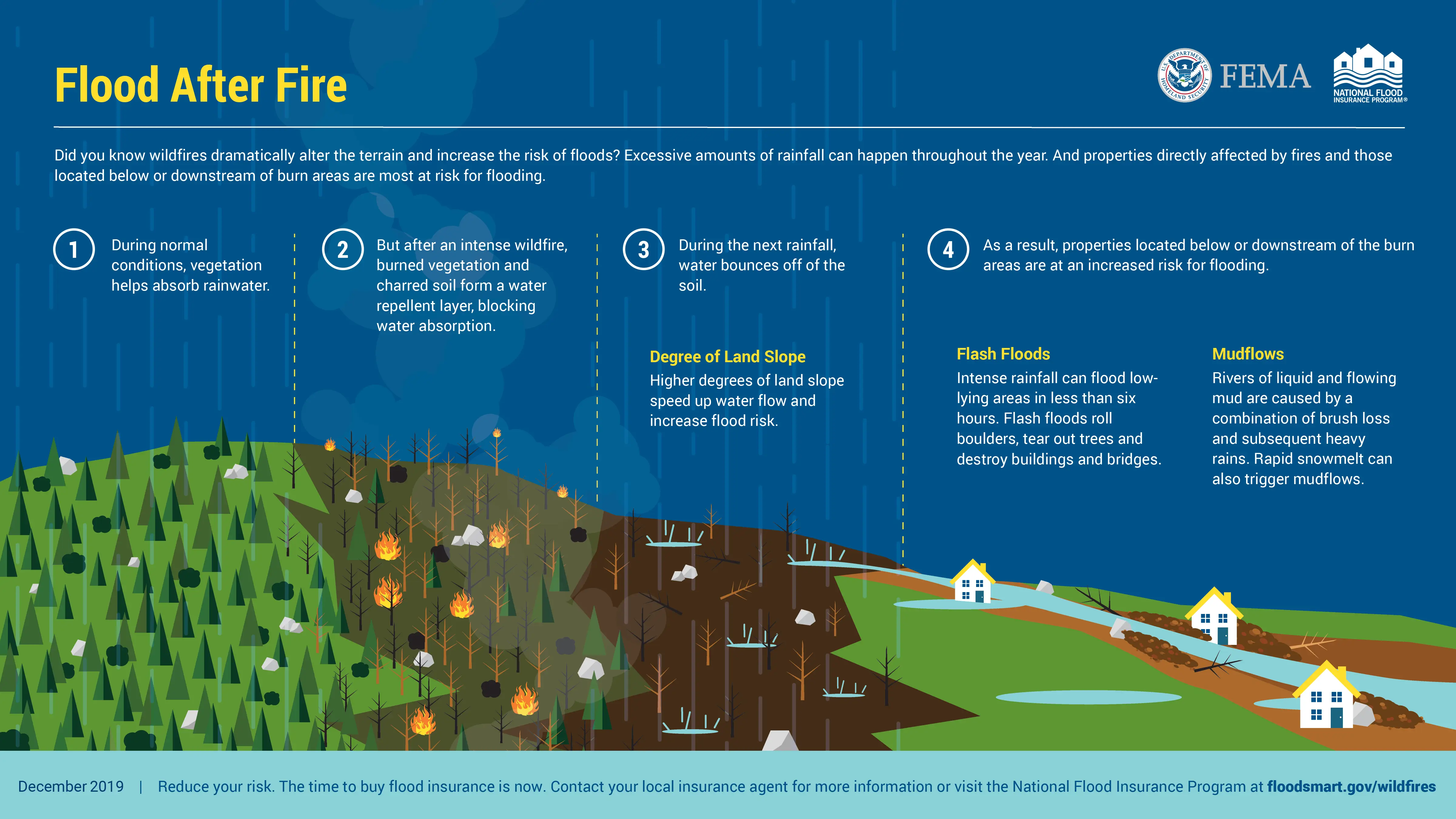 How wildfires alter terrain and could possible lead to flood areas